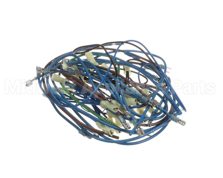 2E-21831976 Apw Wyott Wire Harness; Hrs-75;5T