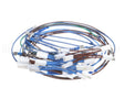 2E-21831976 Bakers Pride Wire Harness, Hrs-75, 5T