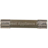 2E-30900-01 Compatible Lang Ceramic Fuse