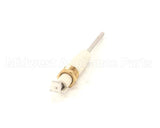 2E-41100-07 Lang Sensor Flame Probe Gcco