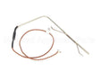 2E-41100-17 Lang Temp Probe Sel Lg Griddle