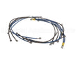 2E-93300085 Apw Wyott Wire Set; W/Wire Diagram Xttrm 2 & 3