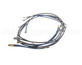 2E-93300085 Apw Wyott Wire Set; W/Wire Diagram Xttrm 2 & 3