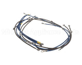 2E-93300085 Apw Wyott Wire Set; W/Wire Diagram Xttrm 2 & 3