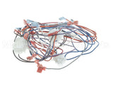 2E-B6780901 Magikitchn Wrg,Dual Control Pnl Mkge