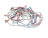 2E-B6780901 Magikitchn Wrg,Dual Control Pnl Mkge