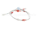 2E-EZG-713-2 Lang Harness,Burner Valve