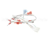 2E-EZG-713-2 Lang Harness,Burner Valve