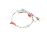 2E-EZG-713-2 Lang Harness,Burner Valve