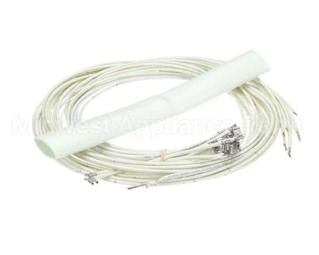 2E-RF-520 Lang Harness,Open Coil Tk Conv