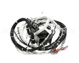 2E-XL-577 Lang Harness Element Slct 208/240V