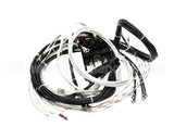 2E-XL-577 Lang Harness Element Slct 208/240V