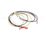 2E-Z15271-2 Star Direct Spark Ignitor