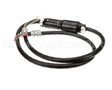 2E-Z19258 Star Cord Set 8/4 50 Amp Lock