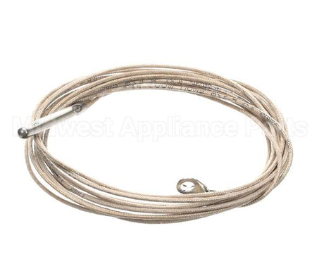 2E-Z20781 Lang Rtd Probe - 60 Long Wire