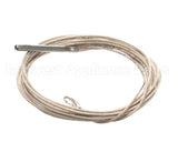 2E-Z20781 Lang Rtd Probe - 60 Long Wire