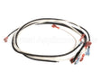 2E-Z22156 Wells Wire Kit -Bwb