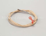 2E-Z3278 Star Rtd Probe - 48 Long Wire