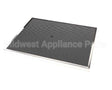 2I-47262 Wells Filter Charcoal