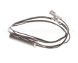 2J-306681 Wells Probe Temp Bwb-1S