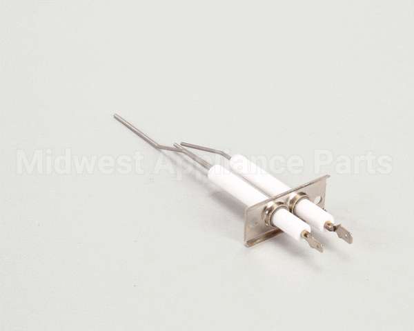 2J-80302-05 Lang Dsi Electrode Assembly