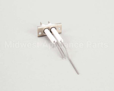 2J-80302-05 Lang Dsi Electrode Assembly