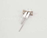 2J-80302-05 Lang Dsi Electrode Assembly