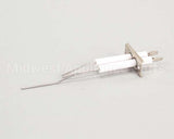 2J-80302-05 Lang Dsi Electrode Assembly