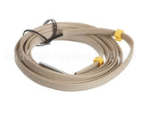 2J-Z15324 Star Thrmstr,R,.125X1.00 Lg