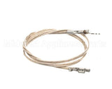 2J-Z16944 Wells Probe Temp-Rtd-20 Leads