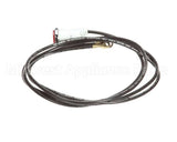 2S-Z3823 Star Indicator Light, 120V