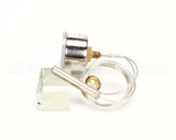 2T-3004112 Star Thermometer