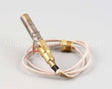 2T-42195 Wells Thermopile Fgs-40