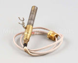 2T-42195 Wells Thermopile Fgs-40