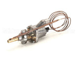 2T-Z13362 Wells Thermostat