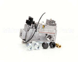 2V-80505-01 Lang Comb Valve Gas Grid