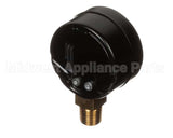 3-BM15 Crown Steam Pressure Gauge