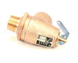 3-SRV3 Crown Steam Valve,Safety,3/4"M X 3/4"F