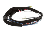 3000011988 Jade Wire Harness, Jade Conv Oven -