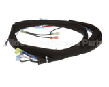 3000011988 Jade Wire Harness, Jade Conv Oven -