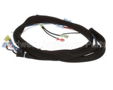 3000011988 Jade Wire Harness, Jade Conv Oven -