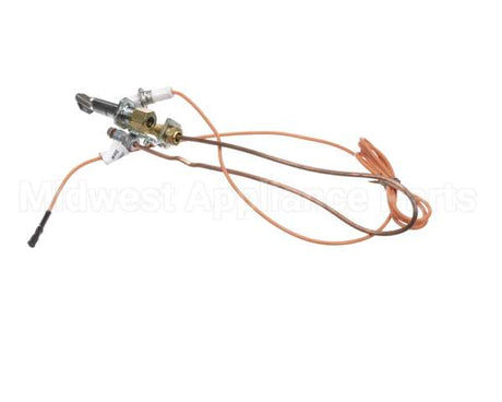 3000013480 Jade Pilot W Electrode & Thermocoup