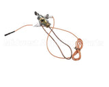 3000013480 Jade Pilot W Electrode & Thermocoup