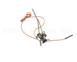 3000013480 Jade Pilot W Electrode & Thermocoup