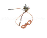 3000013480 Jade Pilot W Electrode & Thermocoup