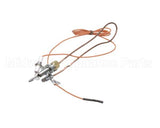 3000013480 Jade Pilot W Electrode & Thermocoup