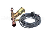 3001301 Hussmann Vlv Eepr 7Odf Cdst4 20 805599