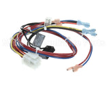 300982 Frymaster Wire Harness, Util.conn.