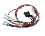 300982 Frymaster Wire Harness, Util.conn.