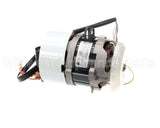 301076 Robot Coupe Mot Blixer3 Ass 220/60/1